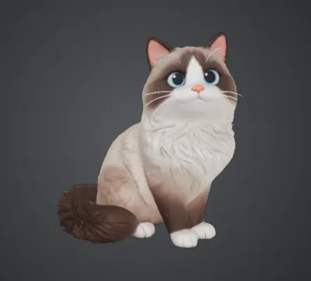 布偶猫模型